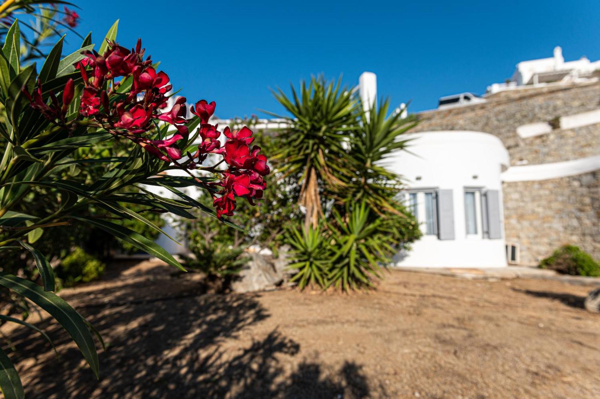 9 Muses Villas Mykonos Ornos  Pokoj fotografie